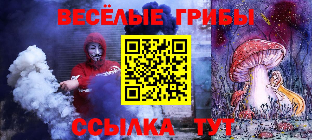 Борзя  Галлюциногенные грибы мицелий  Вход с VPN 